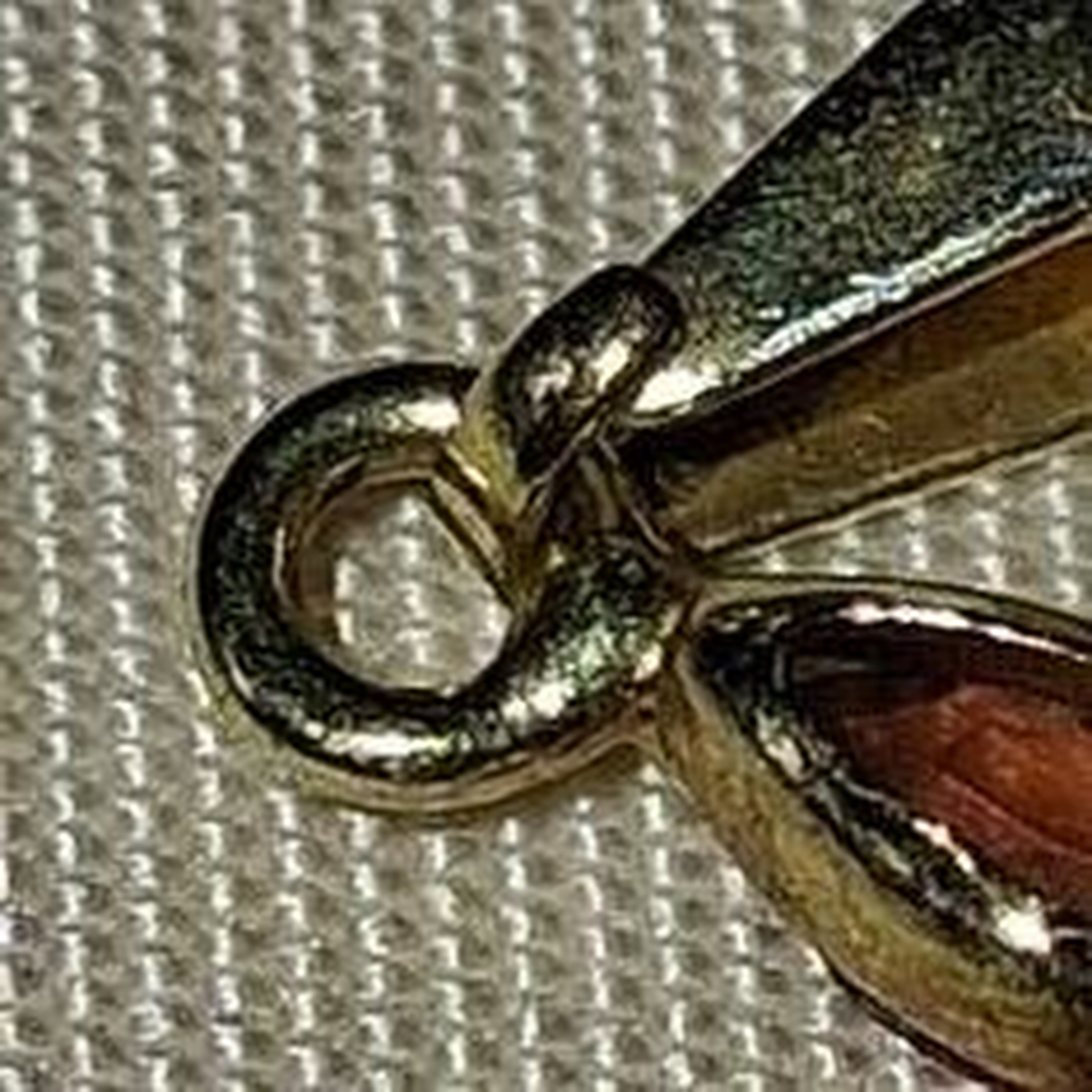12KT Gold Garnet Pendant
