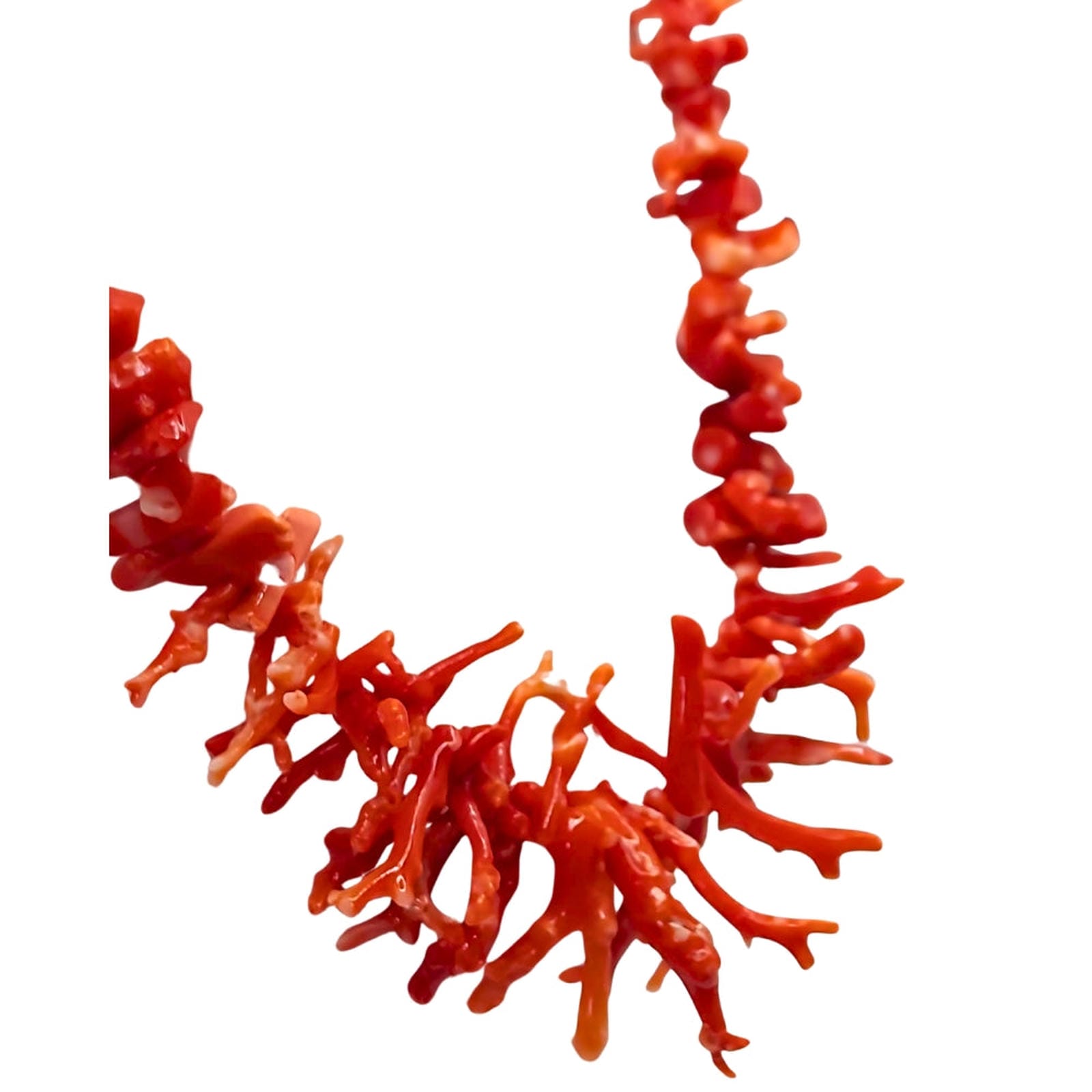 Cut Segment Coral Necklace with Natural Front