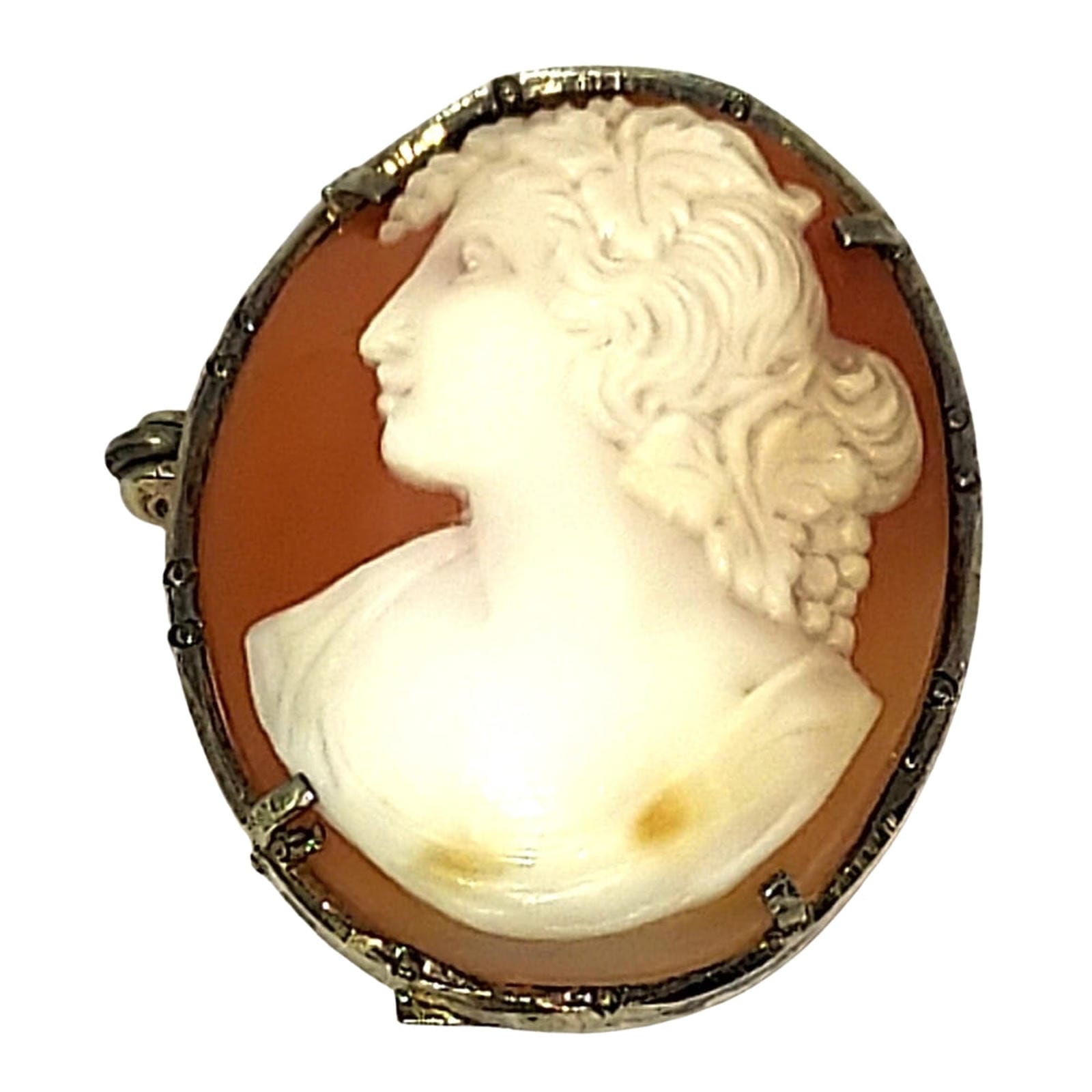 19th Century Shell Cameo - Gilt Bezel - Coral Color