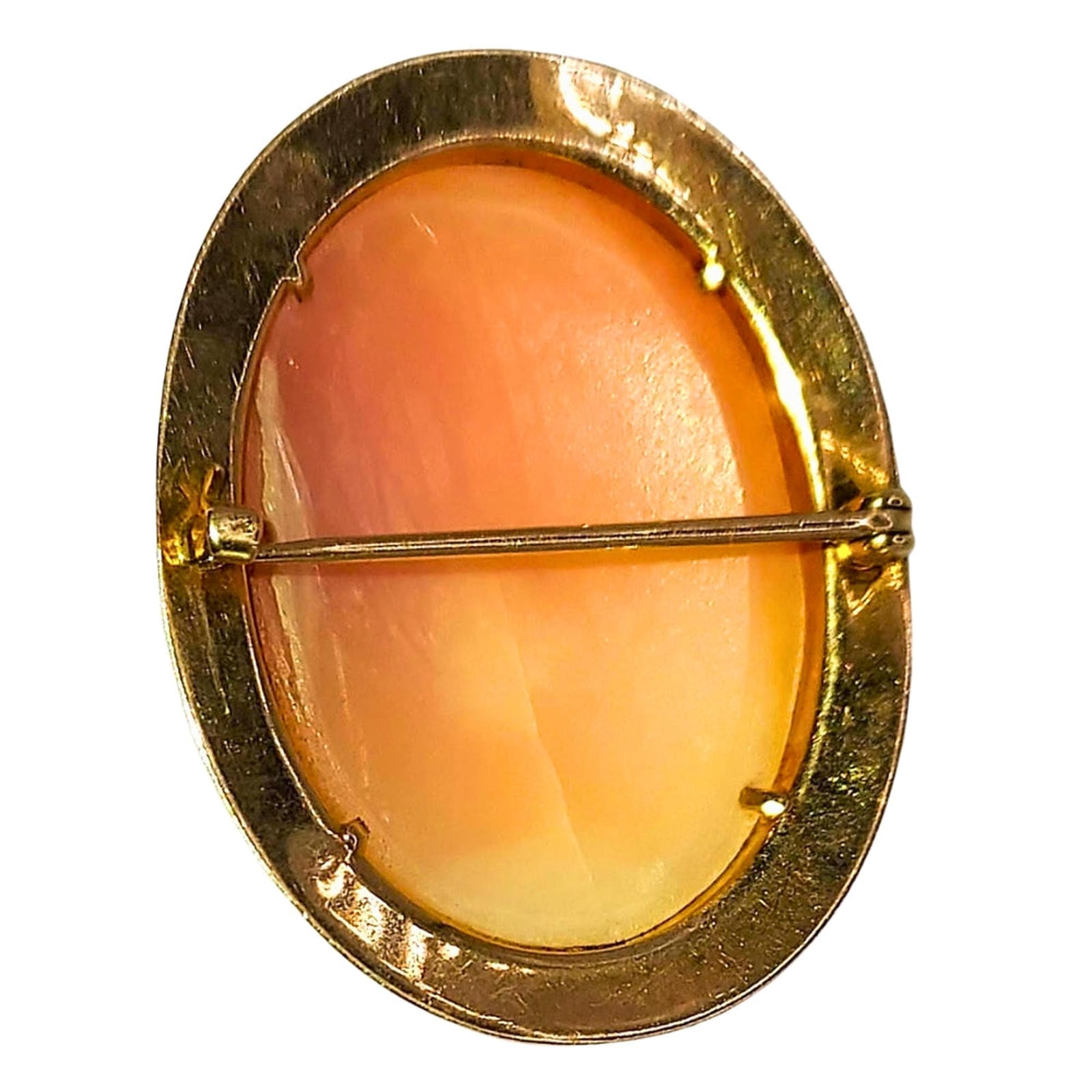 Oval White Shell Cameo - Dark Coral Background - Gold Filled Bezel