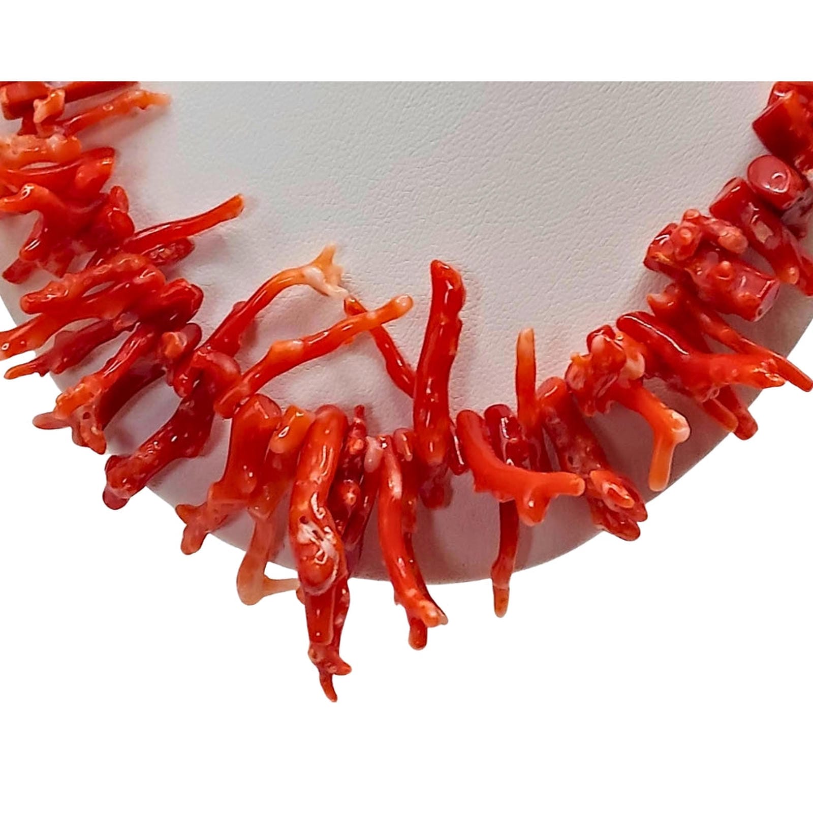 Cut Segment Coral Necklace with Natural Front