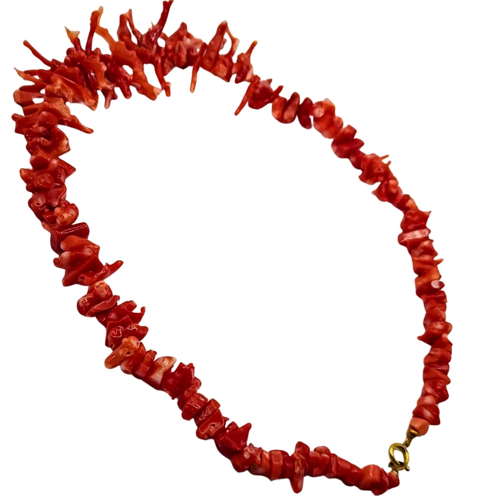Cut Segment Coral Necklace with Natural Front