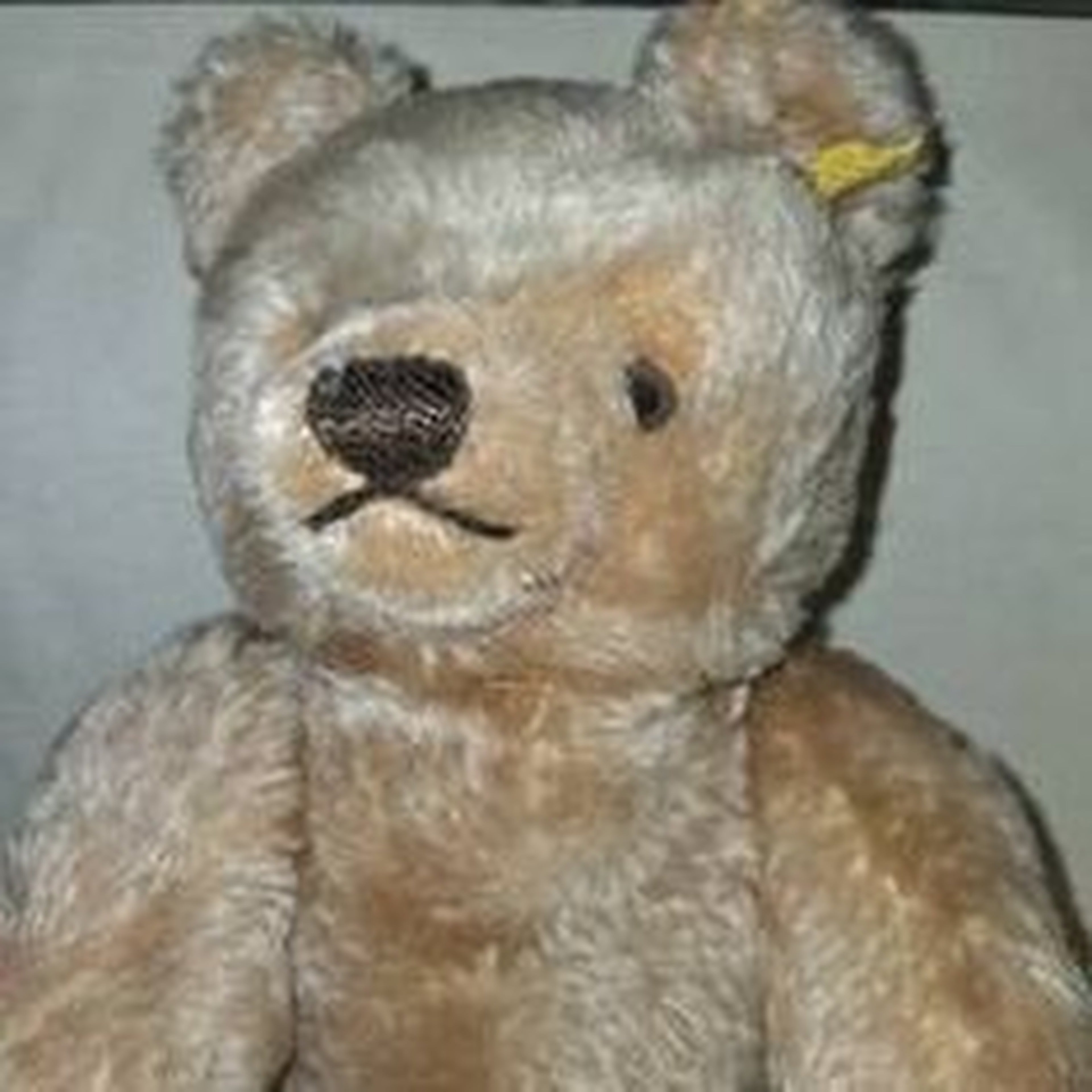 Stieff German Mohair Bear